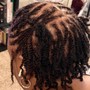 Starter Locs