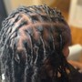 Adult Starter Locs