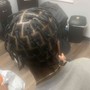 Braided updo/ponytail (lg)