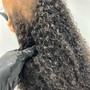 Root Touch Up