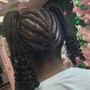 Braids w/ Bun or Ponytail