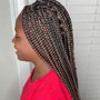 Crochet boho Braids (hair provided)