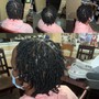 Starter Locs Coils