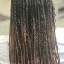 Medium Knotless Box Braids