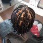 Starter Locs