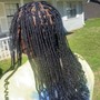 Medium Senegalese Twist