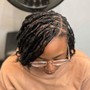 Starter Locs