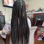 Senegalese Twist (midback)