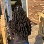 Havana Twists