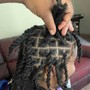 Starter Locs