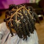 Starter Locs