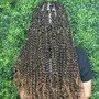 Tree Braids