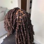 Short butterfly locs