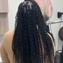 Boho Edge braid Touch Ups/half head