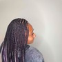 Havana Twists