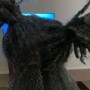 Loc Style (Two Strand)