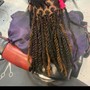 Adult braided ponytail (8-10 braids)