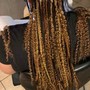 Adult braided ponytail (8-10 braids)