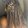 Starter Locs (2 Strand Twist)