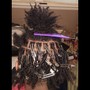 Kid's Starter Locs/Braids