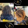 Shampoo Service for Bundles