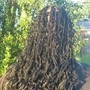 Medium Boho Knotless Braids- Waist Length