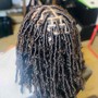 Starter locs