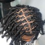 Single Twist full head