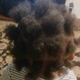 Loc Coils