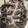 Loc Maintenance ( Traditional Palmroll) (Medium/Short Length)