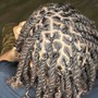 Loc Retwist