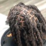 Starter locs