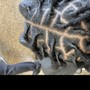 Loc Retwist (short…above shoulders) no style