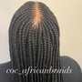 Small Box Braids