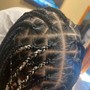 Starter locs