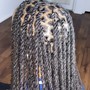 Two Strand Twist