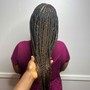 Havana Twists