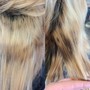 Root Touch Up