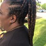 Braided Ponytail  (Feed-In)