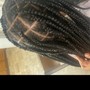 Poetic Justice Braids