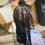 Kid's Braids