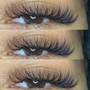 Bottom Lash