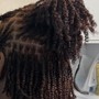 Invisible Locs (Upper Back)