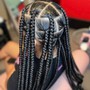 Jumbo Knotless Braids - Mid Length