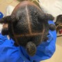 Loc Maintenance (retwist)