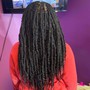 Starter locs