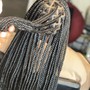 Poetic Justice Braids/Twist