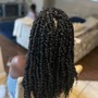 Crochet Braids