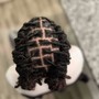 Re-twist (Half head)