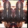 Quick Weave with closure